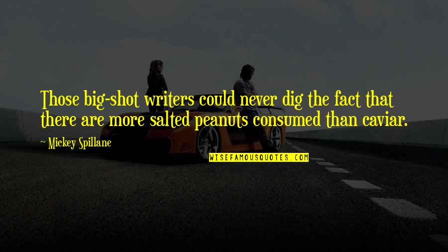 Big Shot Quotes By Mickey Spillane: Those big-shot writers could never dig the fact