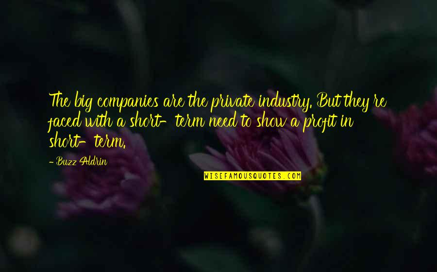 Big Show Quotes By Buzz Aldrin: The big companies are the private industry. But