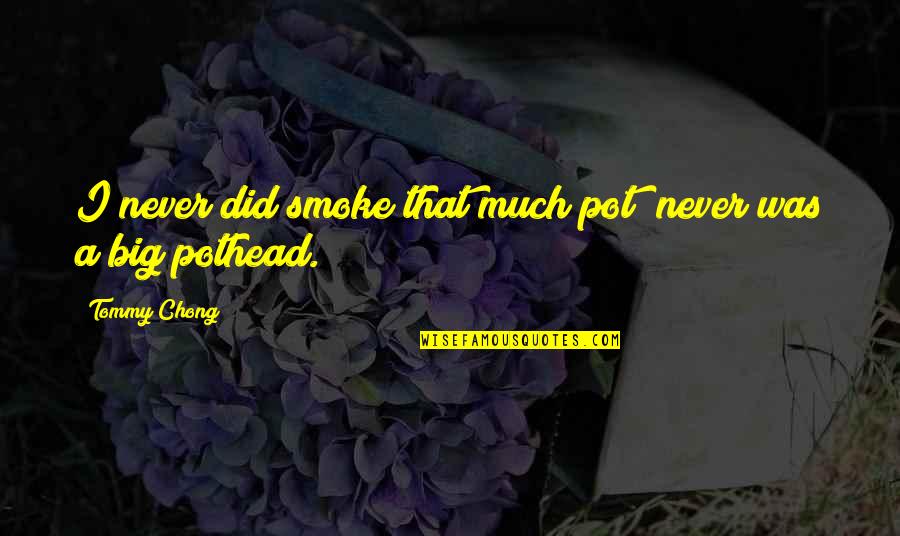 Big Smoke Quotes By Tommy Chong: I never did smoke that much pot; never