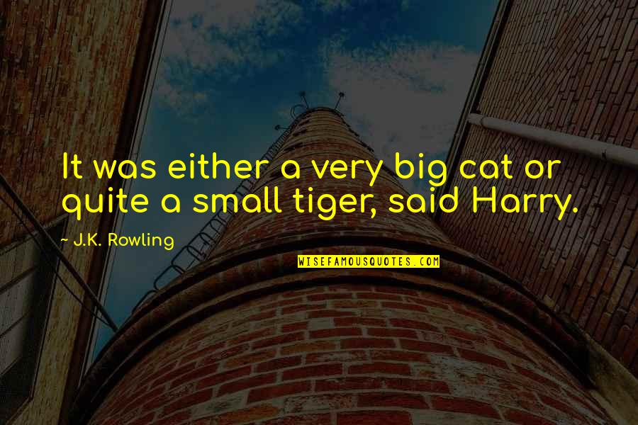 Big The Cat Quotes By J.K. Rowling: It was either a very big cat or