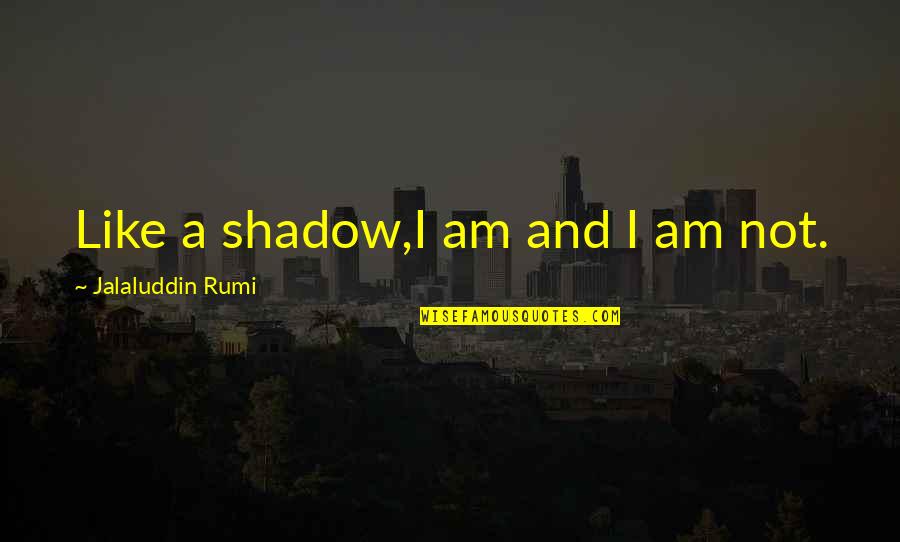 Big Things Coming In Small Packages Quotes By Jalaluddin Rumi: Like a shadow,I am and I am not.