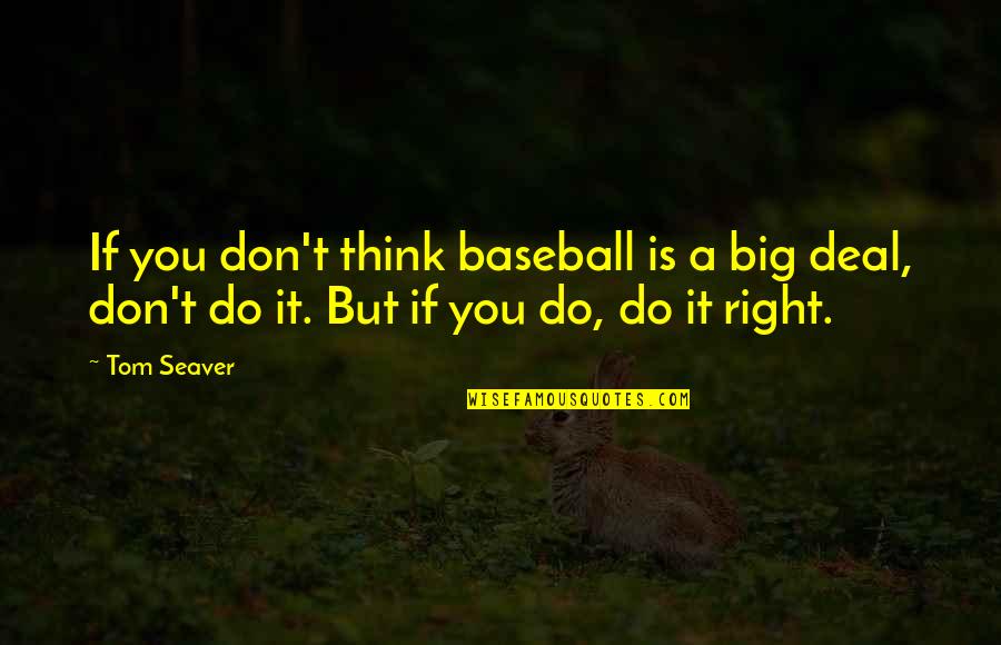 Big Thinking Quotes By Tom Seaver: If you don't think baseball is a big