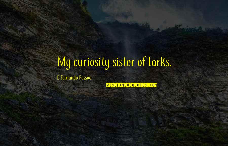 Big Thug Quotes By Fernando Pessoa: My curiosity sister of larks.