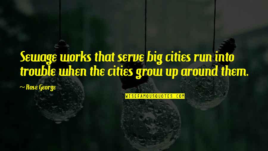 Big Trouble Quotes By Rose George: Sewage works that serve big cities run into