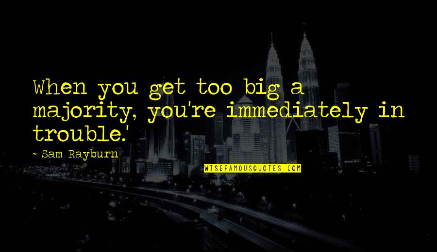 Big Trouble Quotes By Sam Rayburn: When you get too big a majority, you're