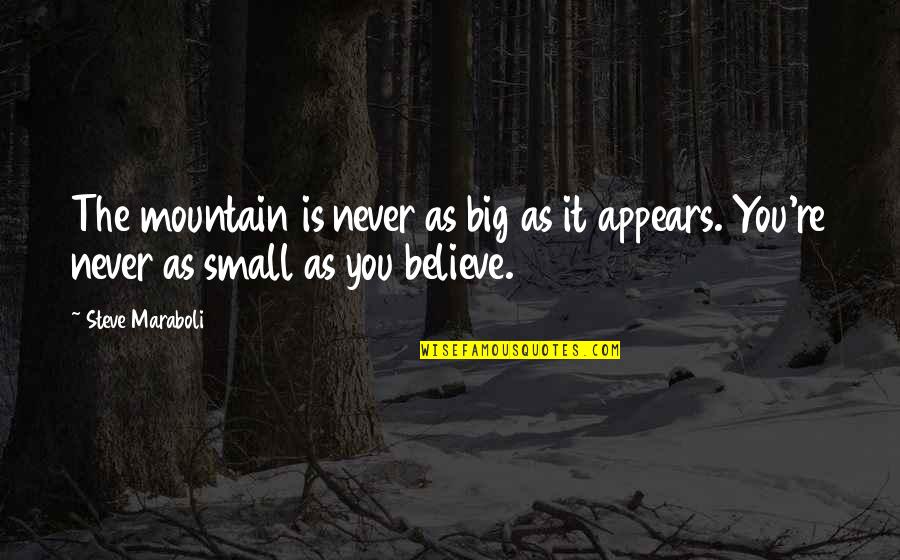 Big Vs. Small Quotes By Steve Maraboli: The mountain is never as big as it