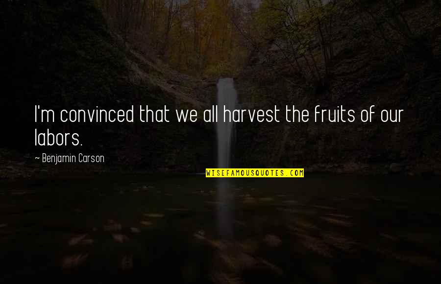 Bigard Jean Marie Quotes By Benjamin Carson: I'm convinced that we all harvest the fruits