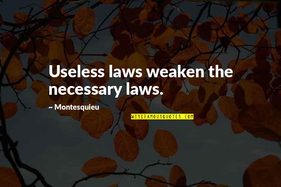 Bigarella Quotes By Montesquieu: Useless laws weaken the necessary laws. Bigarella Quotes By Montesquieu: Useless laws weaken the necessary laws.
