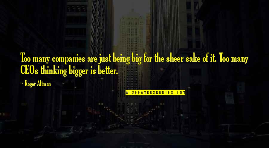 Bigger Is Not Better Quotes By Roger Altman: Too many companies are just being big for