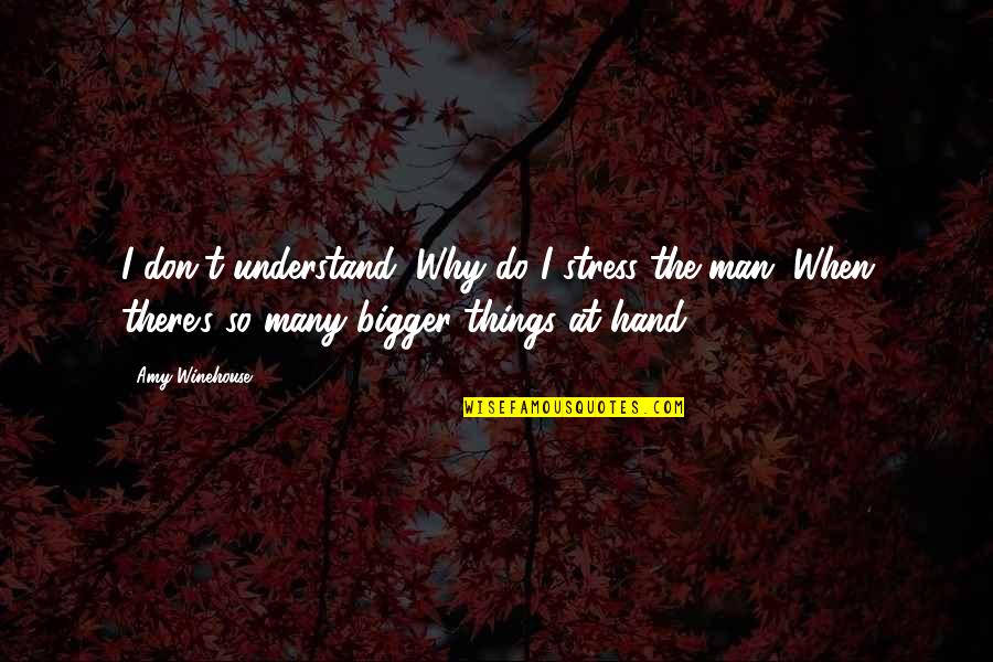 Bigger Man Quotes By Amy Winehouse: I don't understand, Why do I stress the