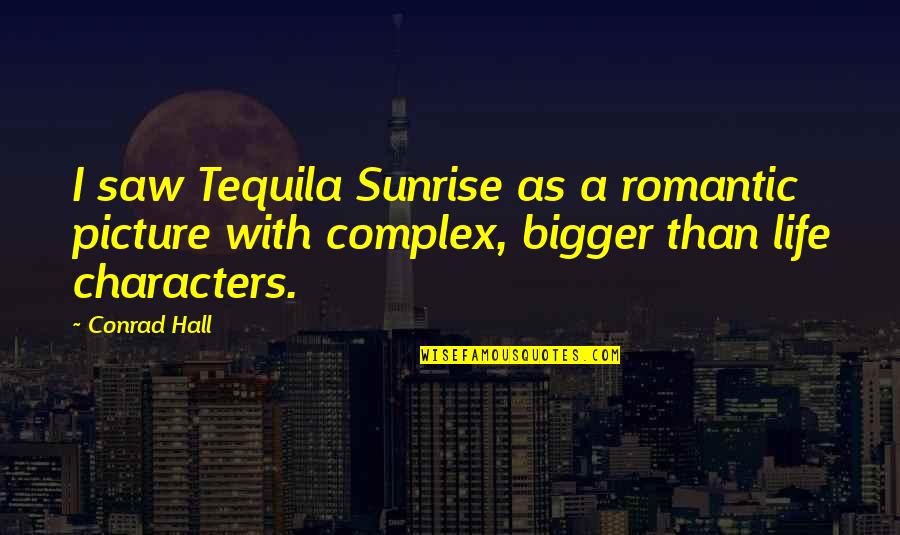 Bigger Picture Of Life Quotes By Conrad Hall: I saw Tequila Sunrise as a romantic picture