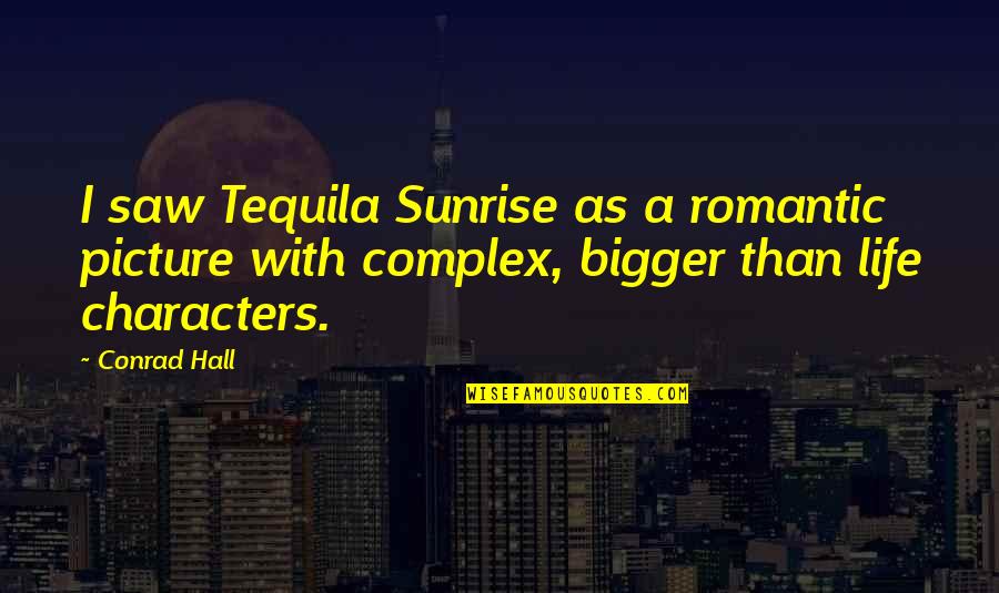 Bigger Picture Quotes By Conrad Hall: I saw Tequila Sunrise as a romantic picture Bigger Picture Quotes By Conrad Hall: I saw Tequila Sunrise as a romantic picture
