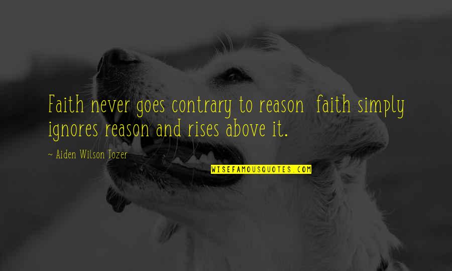 Biggerthanyouthought Quotes By Aiden Wilson Tozer: Faith never goes contrary to reason faith simply Biggerthanyouthought Quotes By Aiden Wilson Tozer: Faith never goes contrary to reason faith simply