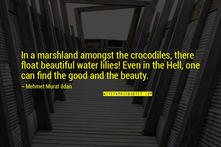 Biggerts Quotes By Mehmet Murat Ildan: In a marshland amongst the crocodiles, there float