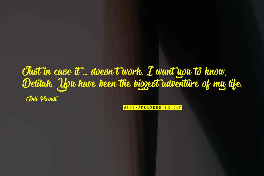 Biggest Adventure Quotes By Jodi Picoult: Just in case it ... doesn't work. I Biggest Adventure Quotes By Jodi Picoult: Just in case it ... doesn't work. I