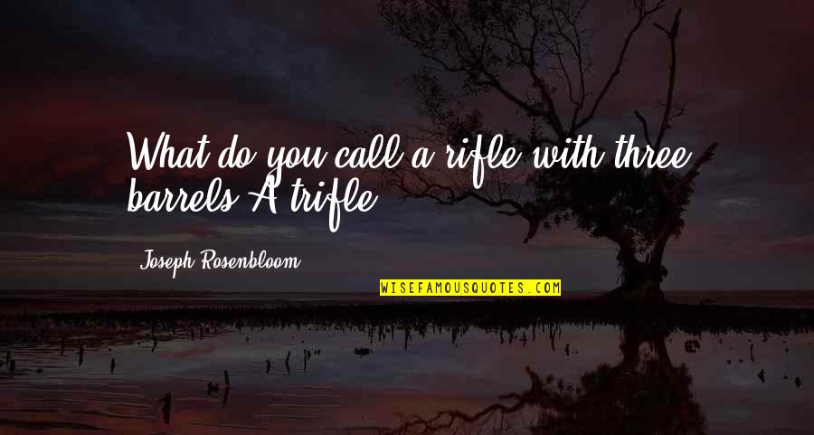 Biggest Riddle Book In The World Quotes By Joseph Rosenbloom: What do you call a rifle with three