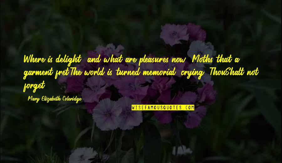 Biglang Quotes By Mary Elizabeth Coleridge: Where is delight? and what are pleasures now?-Moths