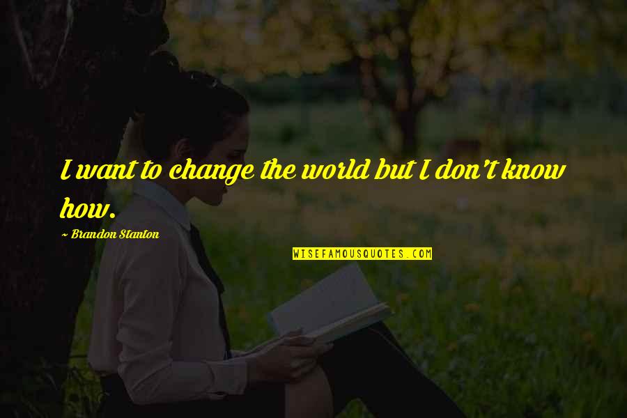 Bigness Quotes By Brandon Stanton: I want to change the world but I