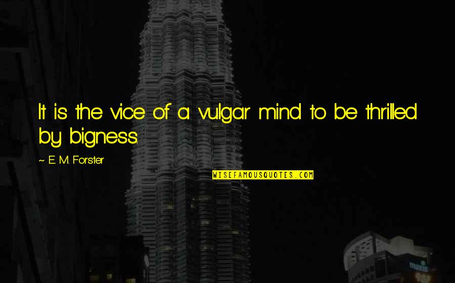 Bigness Quotes By E. M. Forster: It is the vice of a vulgar mind