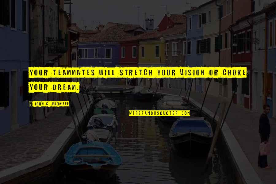 Bigolin Pinhais Quotes By John C. Maxwell: Your teammates will stretch your vision or choke Bigolin Pinhais Quotes By John C. Maxwell: Your teammates will stretch your vision or choke