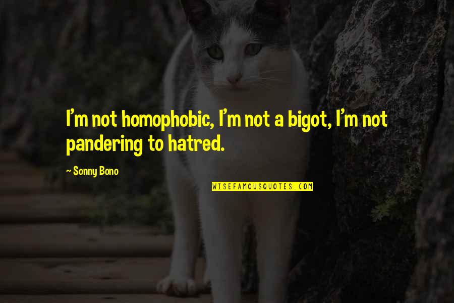 Bigot Quotes By Sonny Bono: I'm not homophobic, I'm not a bigot, I'm