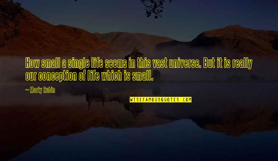 Bigus Meme Quotes By Marty Rubin: How small a single life seems in this Bigus Meme Quotes By Marty Rubin: How small a single life seems in this
