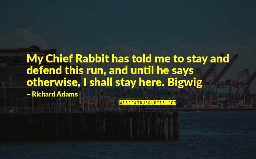 Bigwig 7 Quotes By Richard Adams: My Chief Rabbit has told me to stay Bigwig 7 Quotes By Richard Adams: My Chief Rabbit has told me to stay