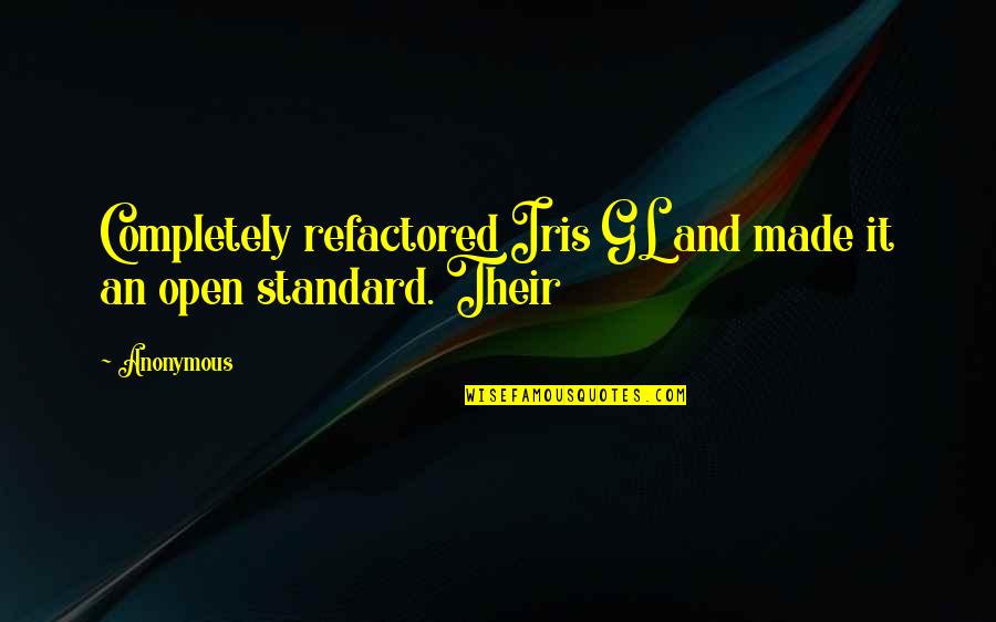 Bigwigs Profiles Quotes By Anonymous: Completely refactored Iris GL and made it an