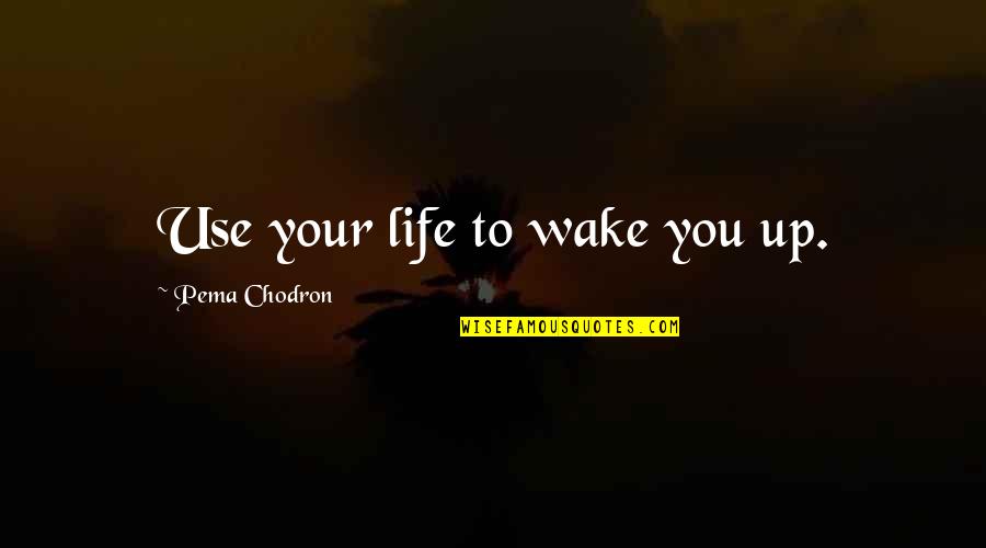 Bijaksana Quotes By Pema Chodron: Use your life to wake you up.
