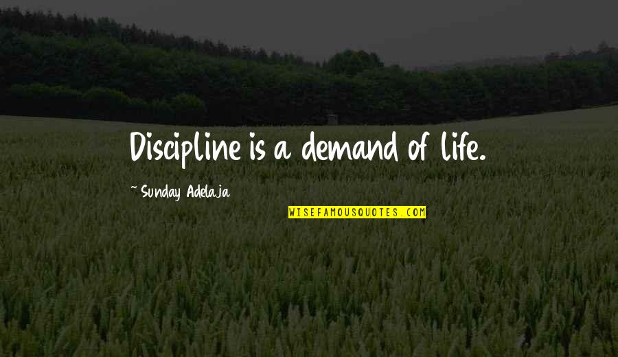 Bijelic Dragoslav Quotes By Sunday Adelaja: Discipline is a demand of life.