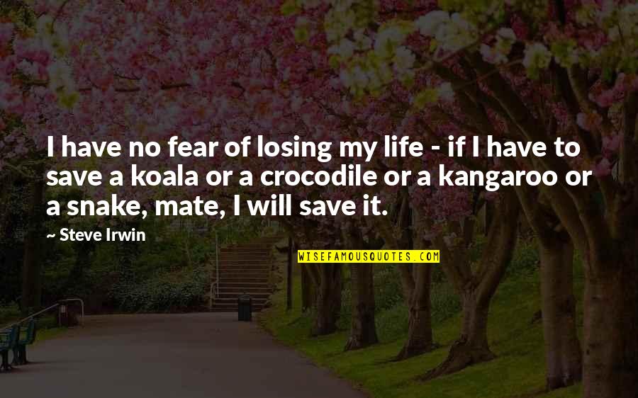 Bikalicious Quotes By Steve Irwin: I have no fear of losing my life