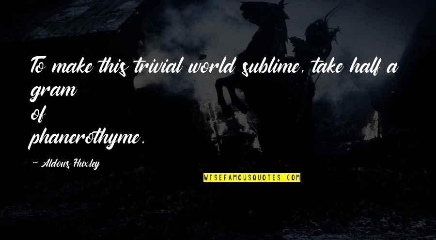 Bike Speedometer Quotes By Aldous Huxley: To make this trivial world sublime, take half