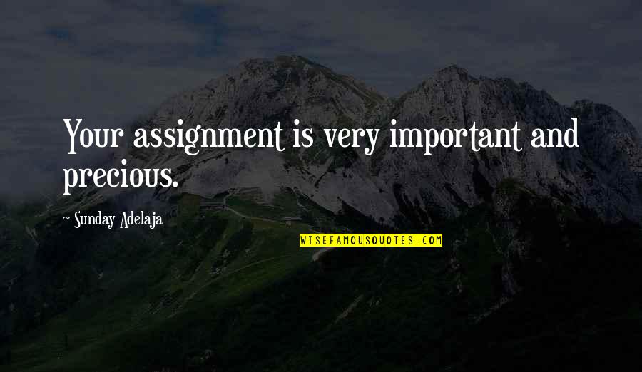 Biker Motivational Quotes By Sunday Adelaja: Your assignment is very important and precious.