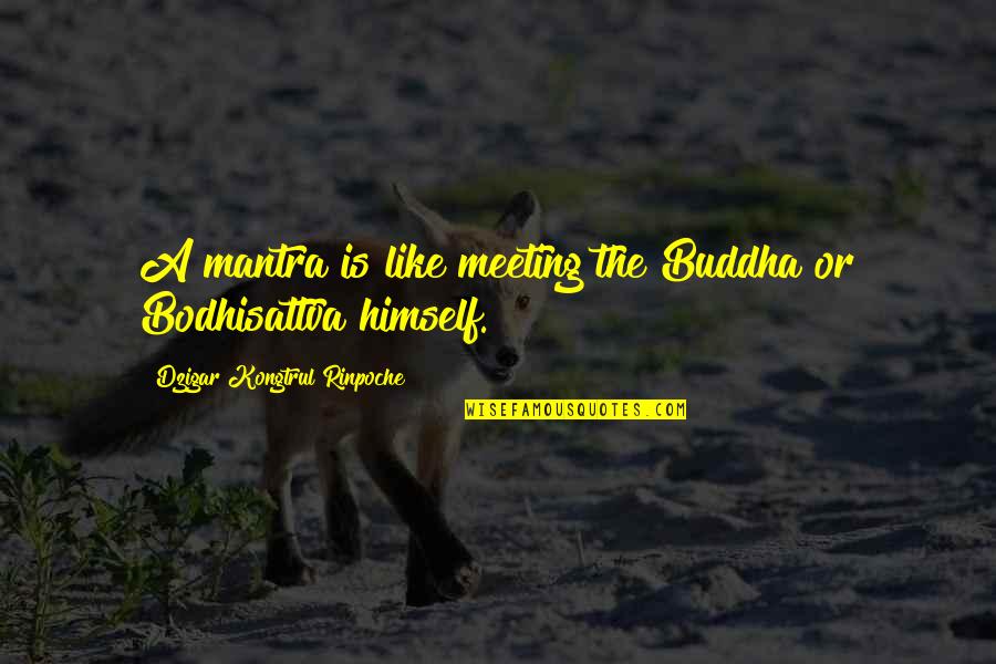 Biking Love Quotes By Dzigar Kongtrul Rinpoche: A mantra is like meeting the Buddha or