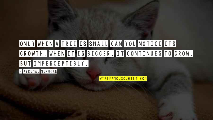 Bilal Assad Quotes By Perumal Murugan: Only when a tree is small can you Bilal Assad Quotes By Perumal Murugan: Only when a tree is small can you