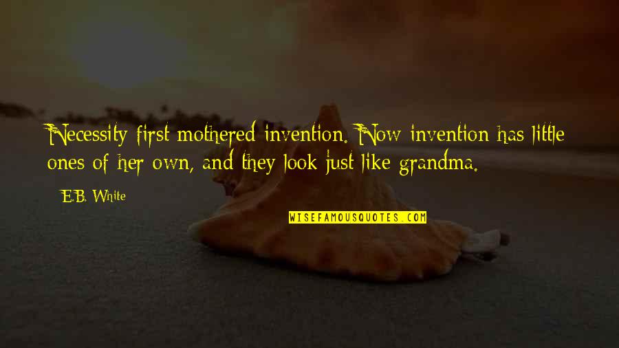 Bilderbacks Quotes By E.B. White: Necessity first mothered invention. Now invention has little