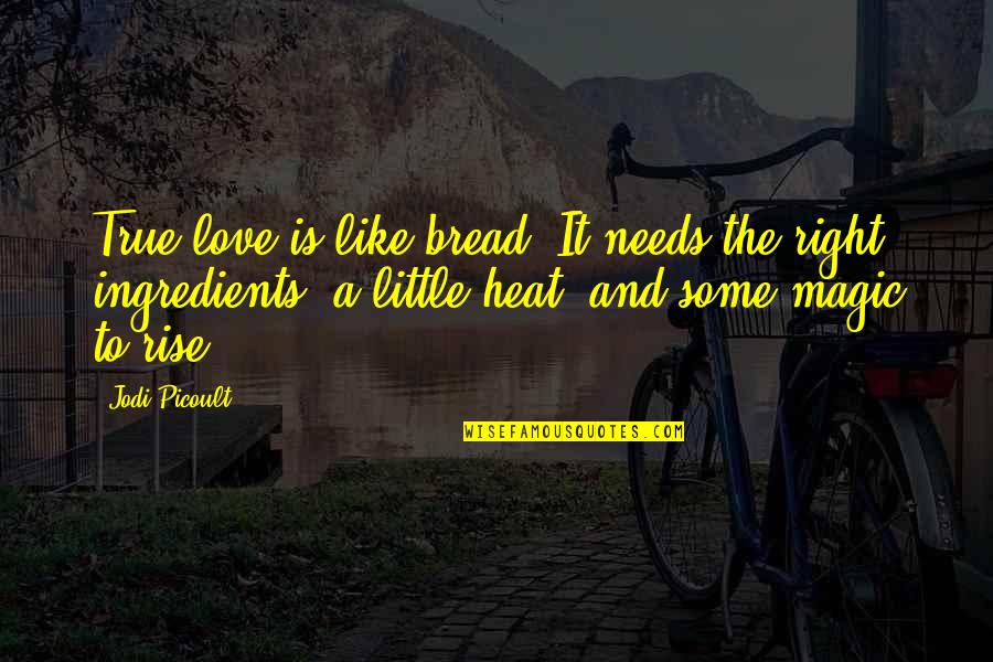 Bilgisizin Quotes By Jodi Picoult: True love is like bread. It needs the