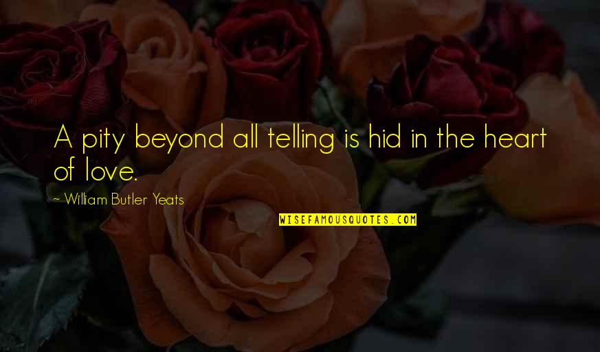 Bilico Significato Quotes By William Butler Yeats: A pity beyond all telling is hid in
