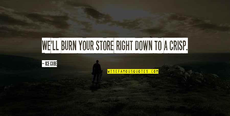 Biliousness Symptoms Quotes By Ice Cube: We'll burn your store right down to a