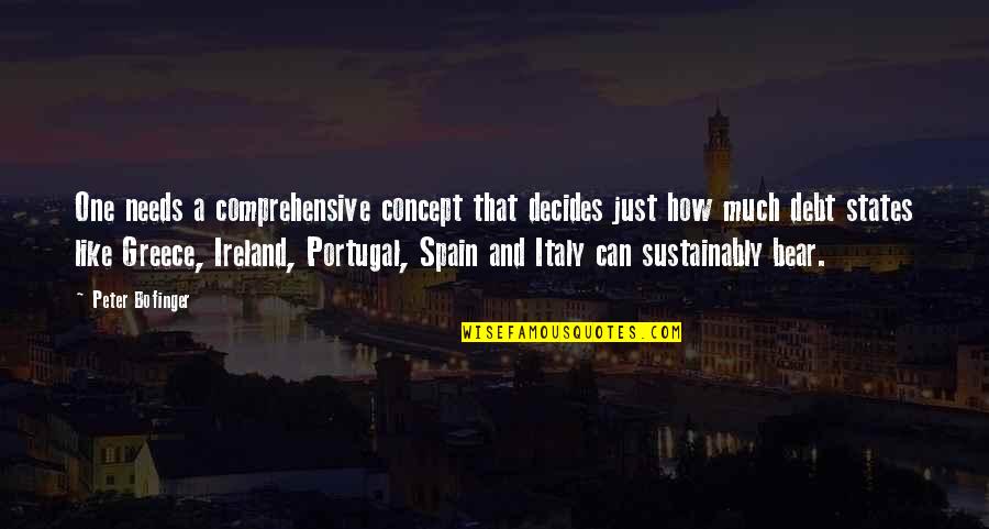Bilirsin Quotes By Peter Bofinger: One needs a comprehensive concept that decides just