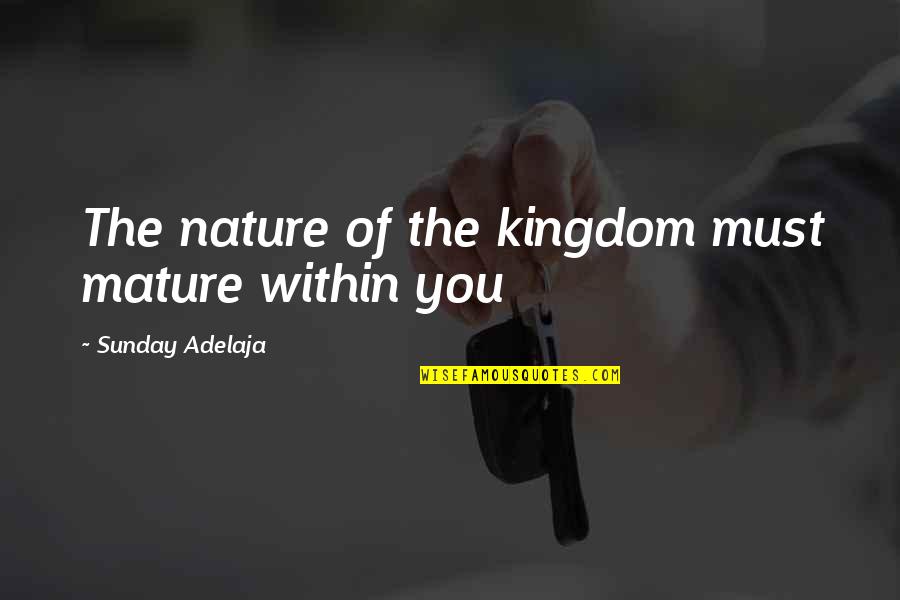 Biljke Travnjaka Quotes By Sunday Adelaja: The nature of the kingdom must mature within
