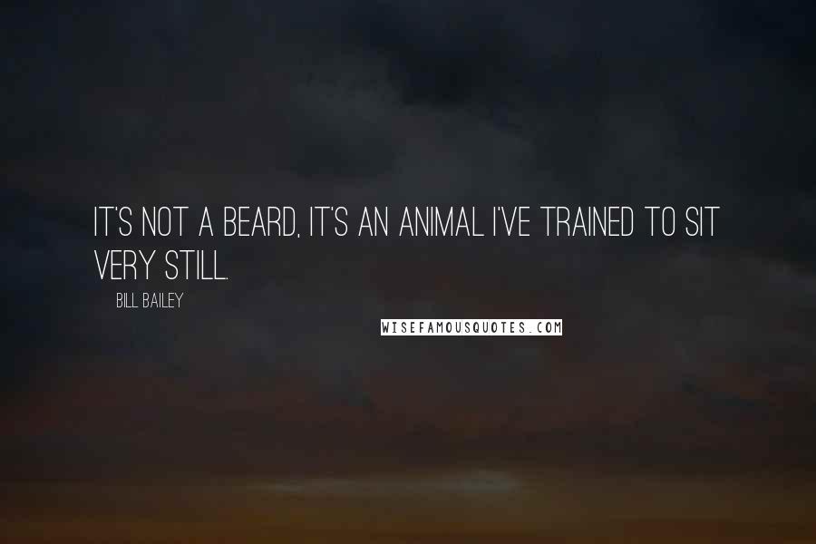 Bill Bailey quotes: It's not a beard, it's an animal I've trained to sit very still.