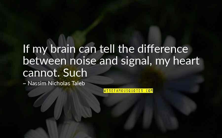 Bill Belichick Preparation Quotes By Nassim Nicholas Taleb: If my brain can tell the difference between