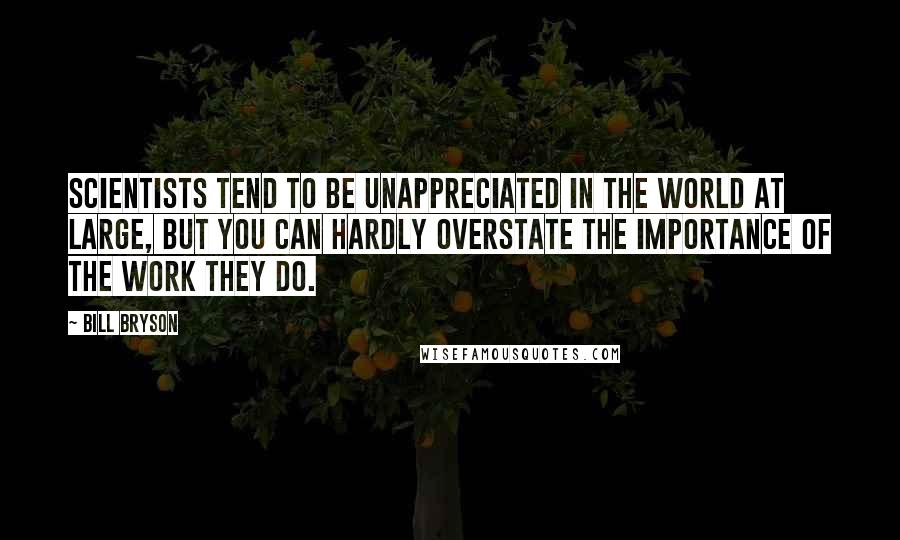 Bill Bryson quotes: Scientists tend to be unappreciated in the world at large, but you can hardly overstate the importance of the work they do.