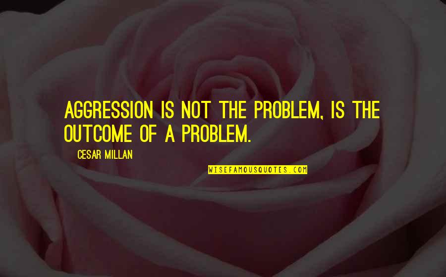 Bill Bryson Shakespeare Quotes By Cesar Millan: Aggression is not the problem, is the outcome