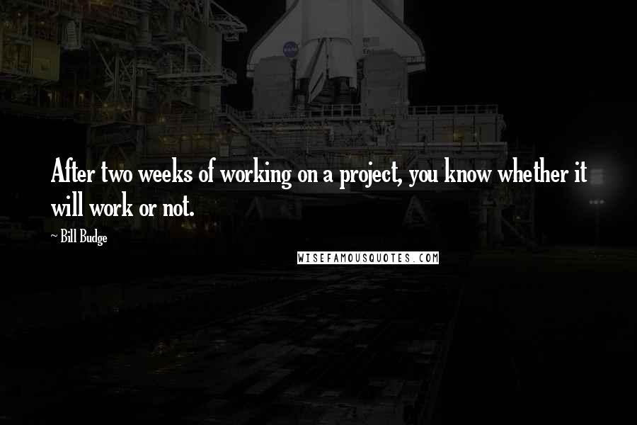 Bill Budge quotes: After two weeks of working on a project, you know whether it will work or not.