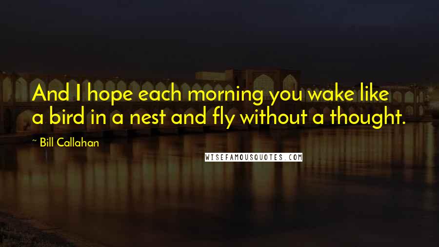 Bill Callahan quotes: And I hope each morning you wake like a bird in a nest and fly without a thought.