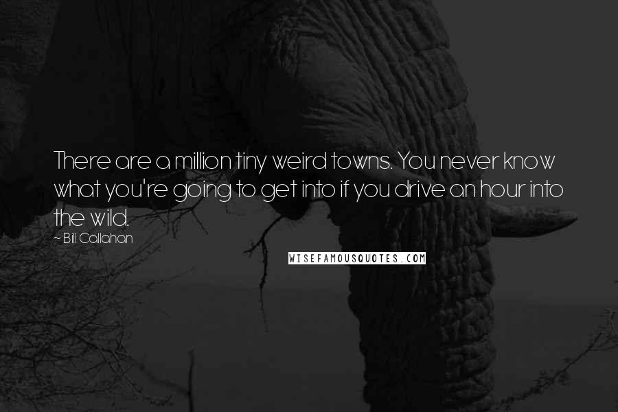 Bill Callahan quotes: There are a million tiny weird towns. You never know what you're going to get into if you drive an hour into the wild.