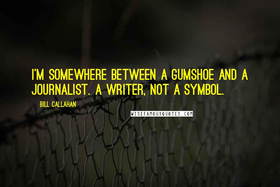 Bill Callahan quotes: I'm somewhere between a gumshoe and a journalist. A writer, not a symbol.