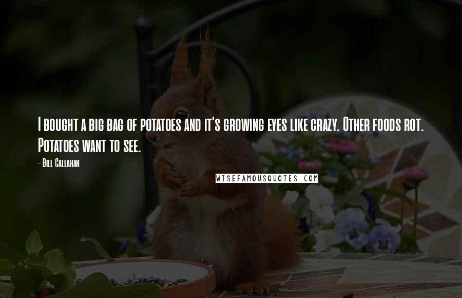 Bill Callahan quotes: I bought a big bag of potatoes and it's growing eyes like crazy. Other foods rot. Potatoes want to see.